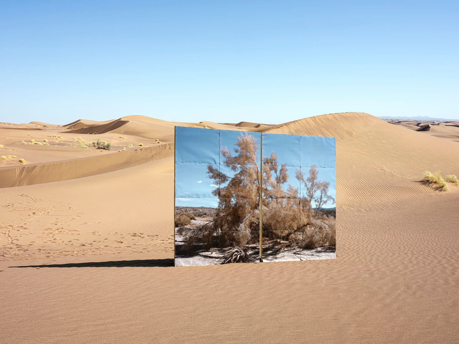 Gohar Dashti, Land/s #11, 2019