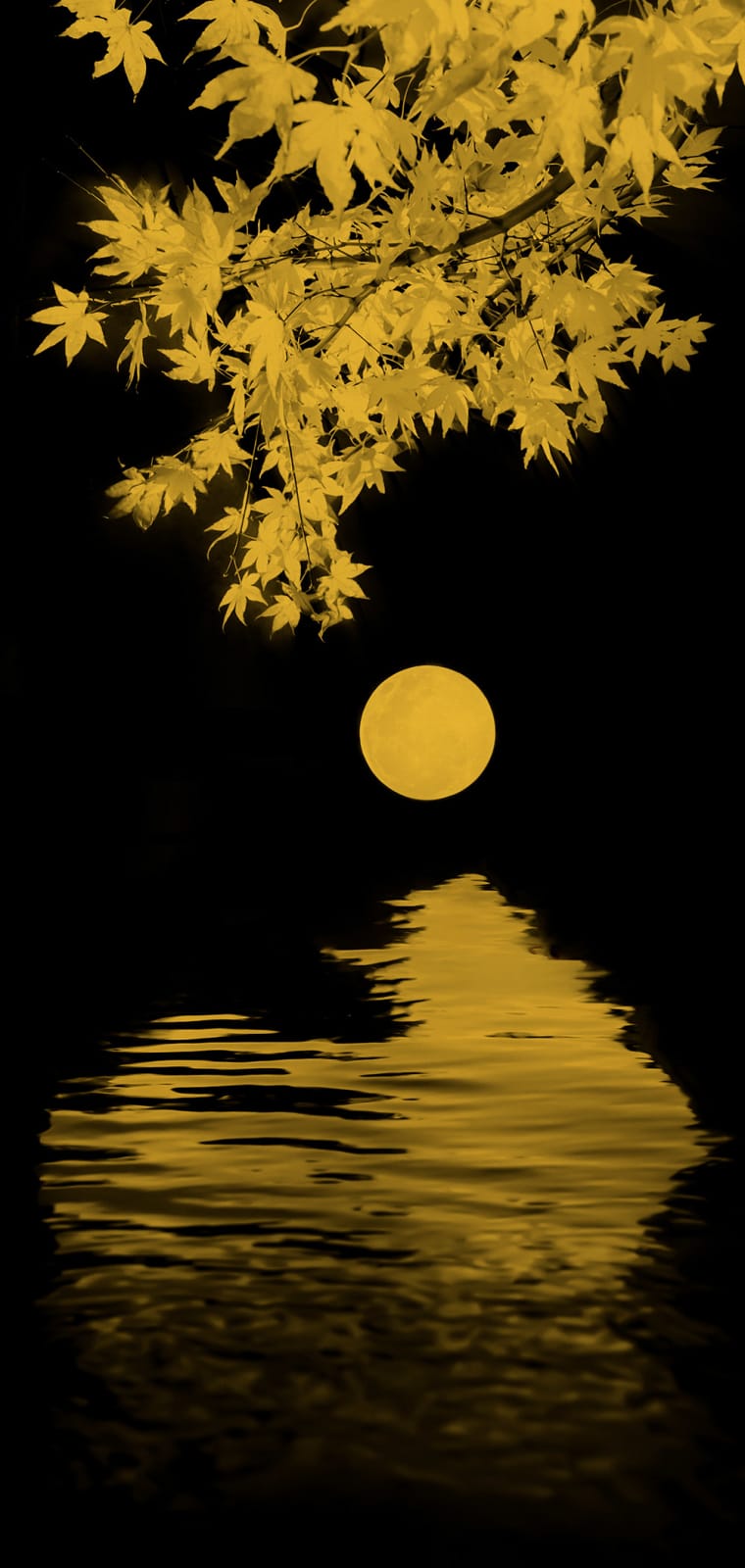 Paul Cupido, Homage to Kato II, 2021