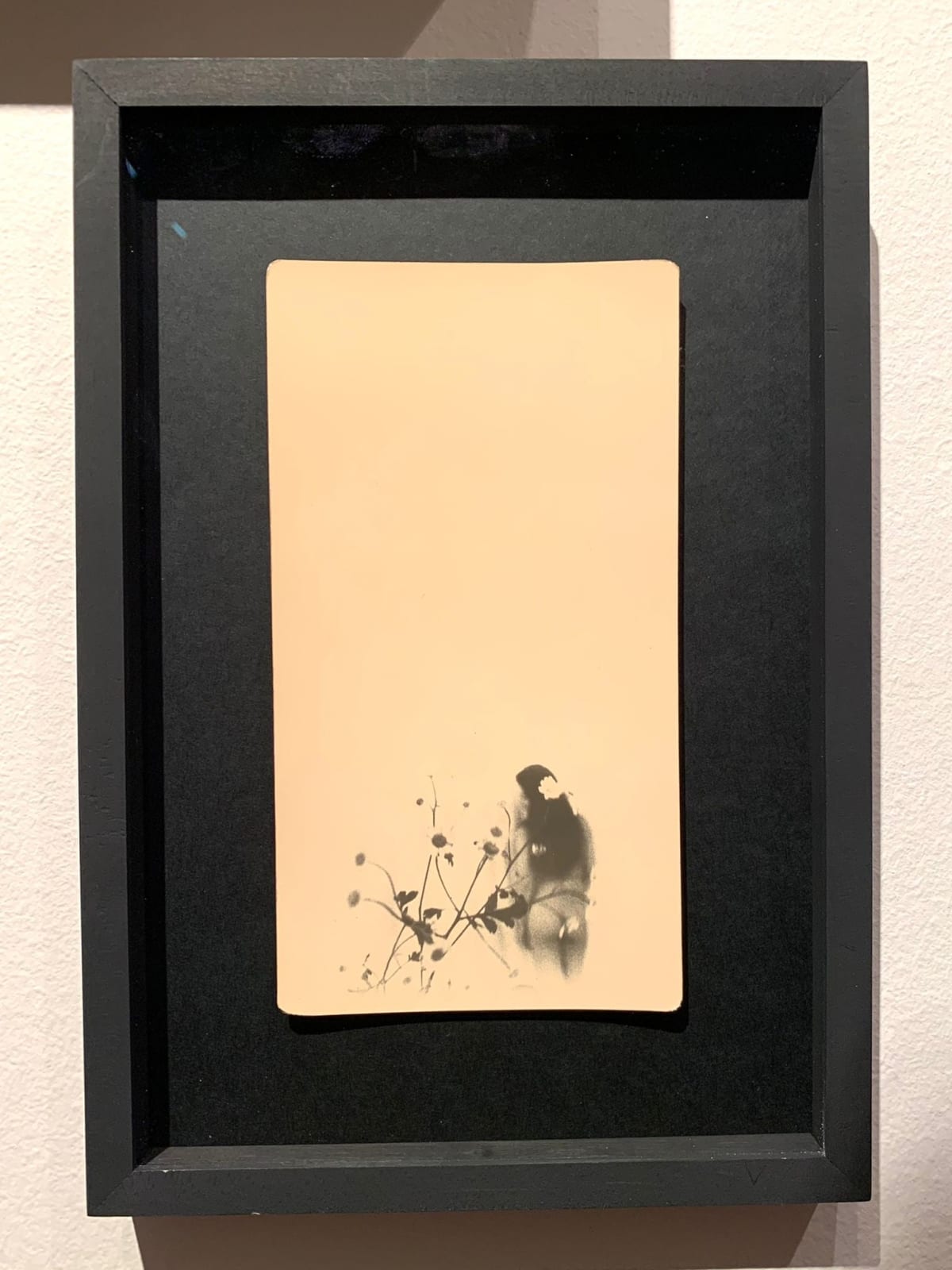 Miho Kajioka, BK0469, 2019
