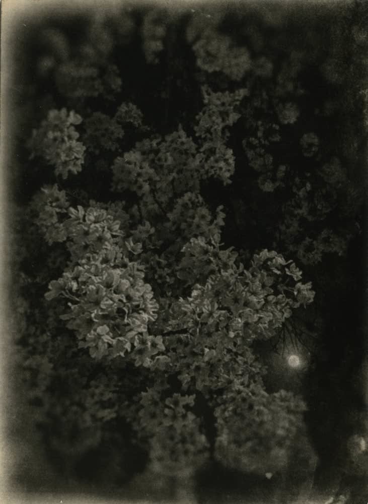 Miho Kajioka, #0022, 2021
