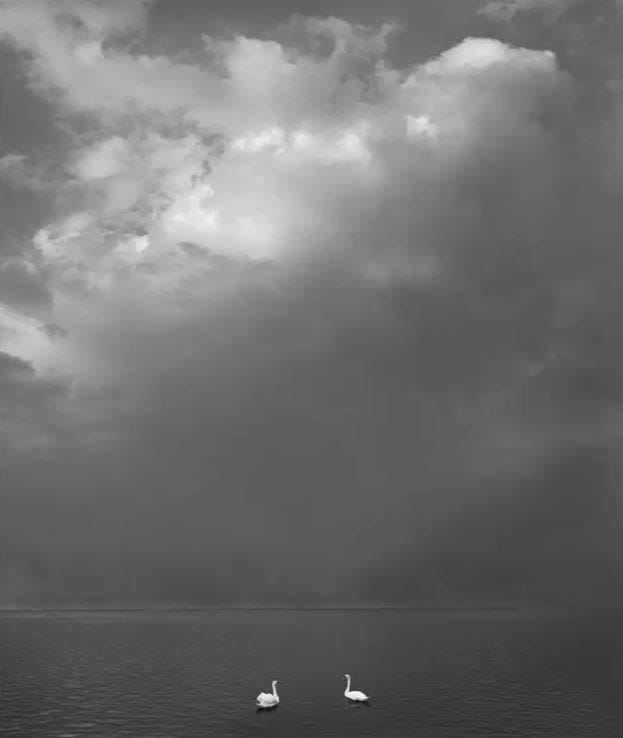 Pentti Sammallahti, Kirkkonummi, Finland, 2016