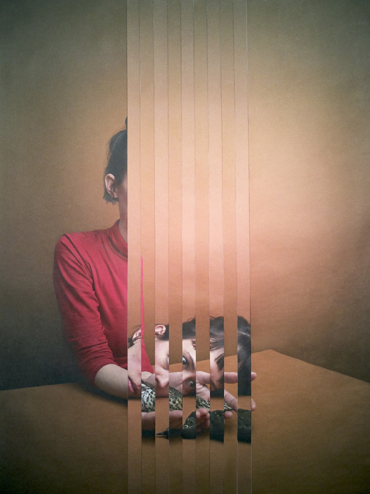 Alma Haser, Song Thrush, 2017