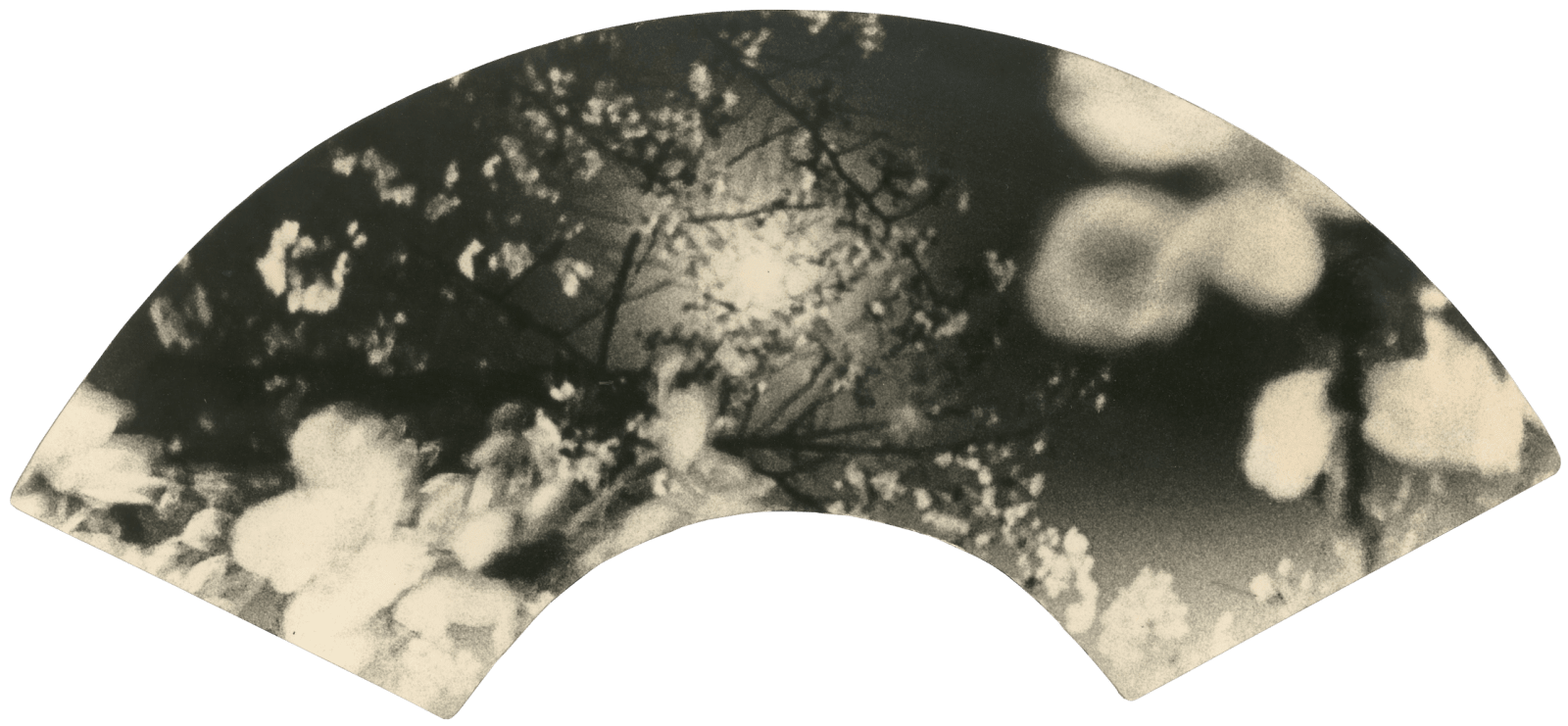 Miho Kajioka, #0091, 2021