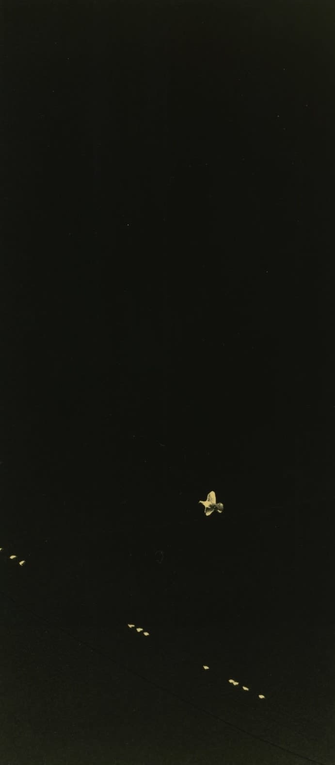 Miho Kajioka, #0004, 2020