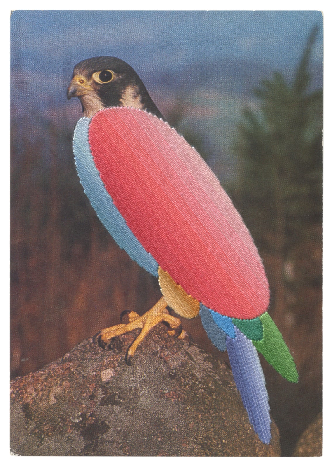 Julie Cockburn, Falcon 2, 2023