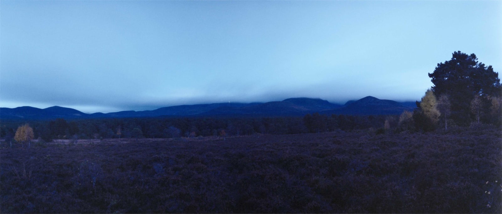Chrystel Lebas, Re-visiting Rothiemurchus fen view Plate n°1241, Aviemore, Rothiemurchus, October 2013 57°9.527’ N 3°47.467’ W, 2013