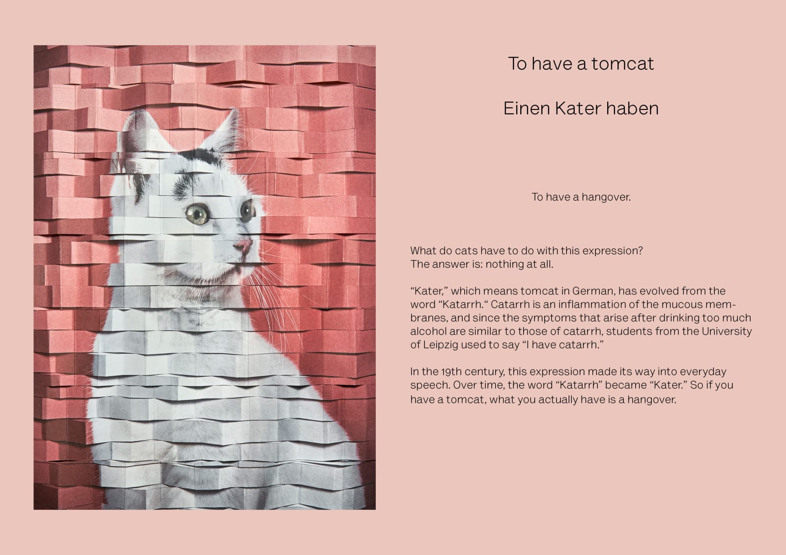 Alma Haser, To have a tomcat (Einen Kater haben), 2023