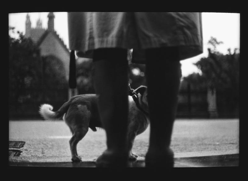 Giacomo Brunelli, Untitled 28, 2012-2014