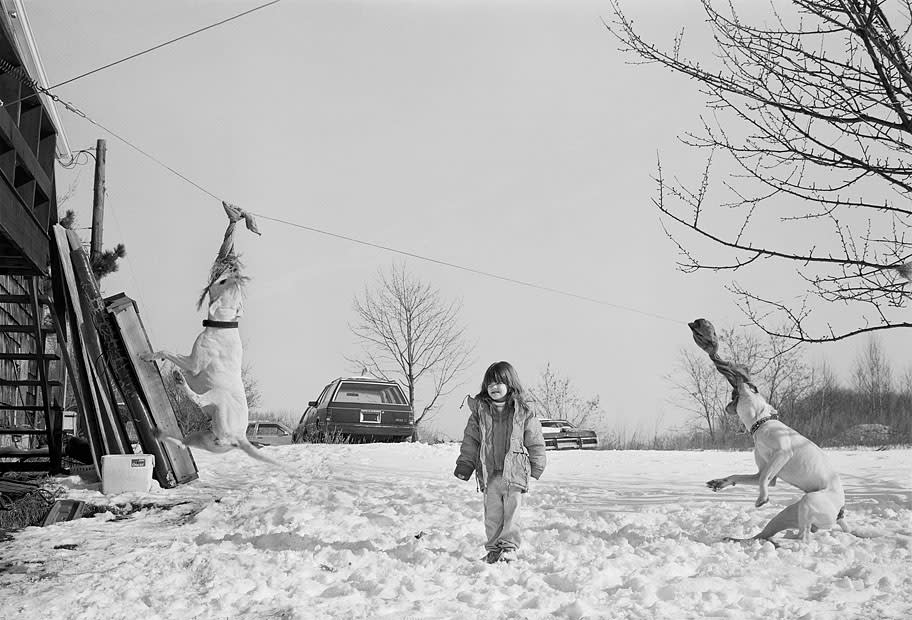 Sage Sohier, Girl in snow with Pit Bulls, Malden, Massachusetts, 1993