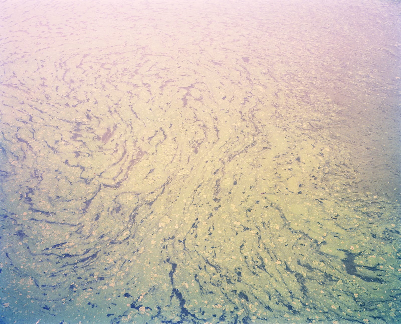 Vasantha Yogananthan, Magic Swirl, 2014