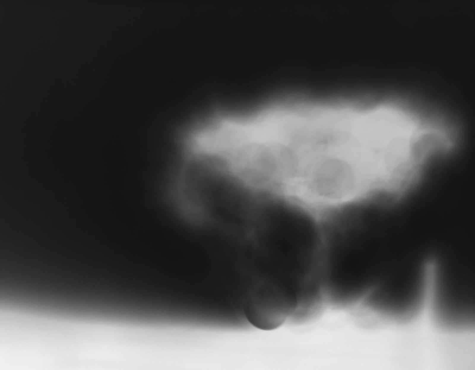 Nicholas Hughes, Untitled 8, 2010