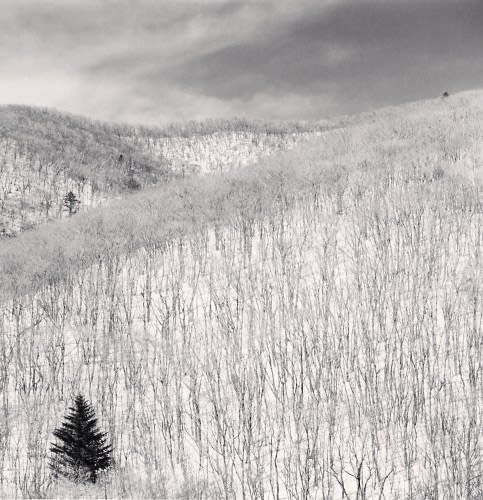 Michael Kenna, Snow Covered Hillside, Pyongchang, South Korea, 2012