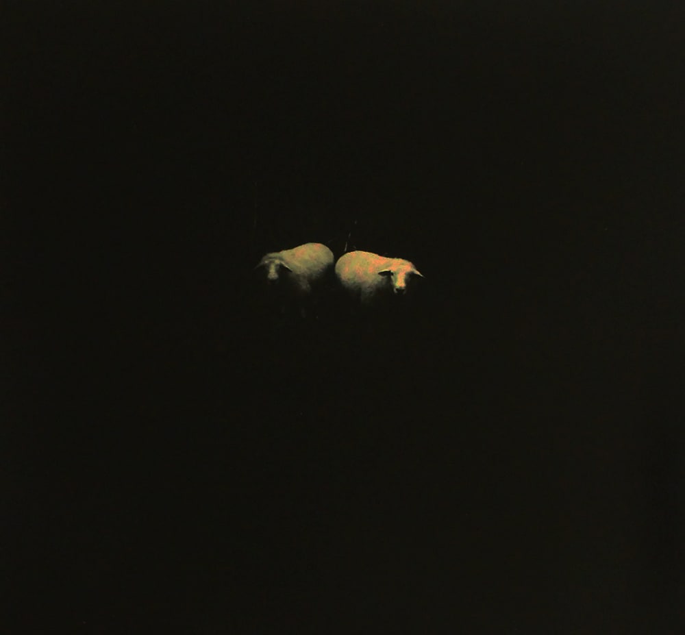 Miho Kajioka, BK0144, 2015