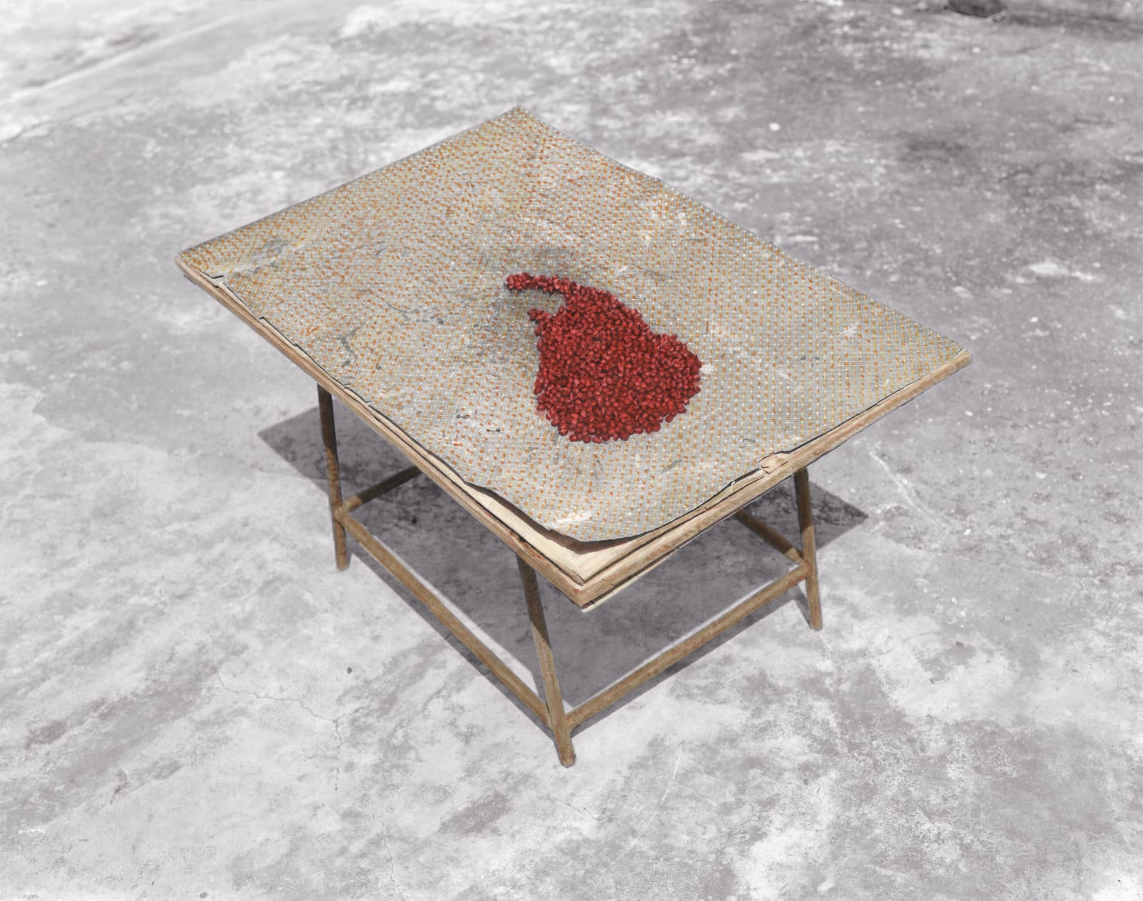 Vasantha Yogananthan, Bloody Lanka, 2014