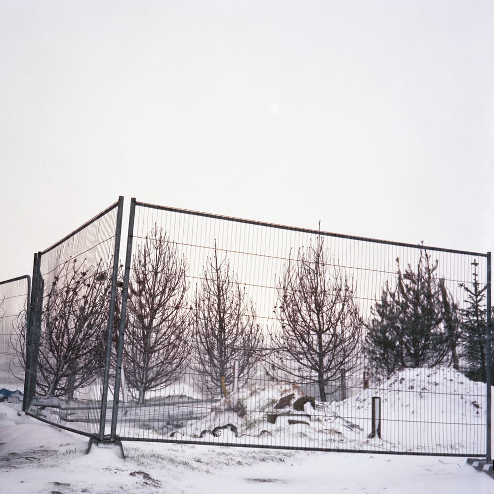 Sophie Gerrard, Menie Salt Damaged Trees #1, 2012