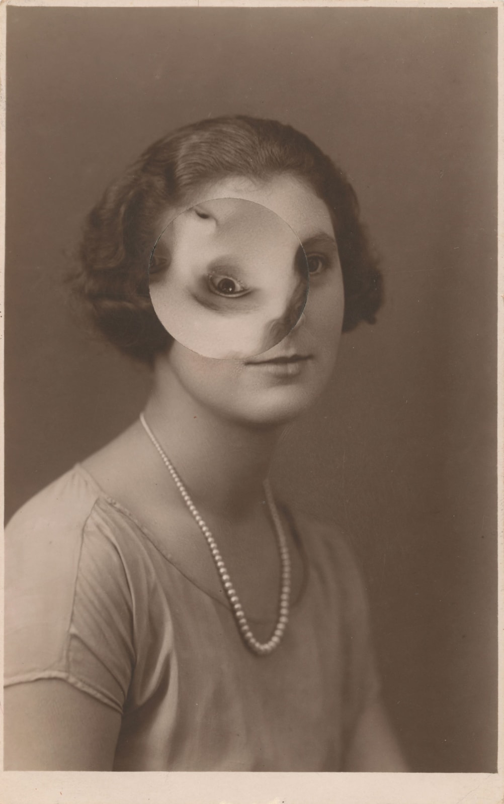 Kensuke Koike, Night Owl, 2017