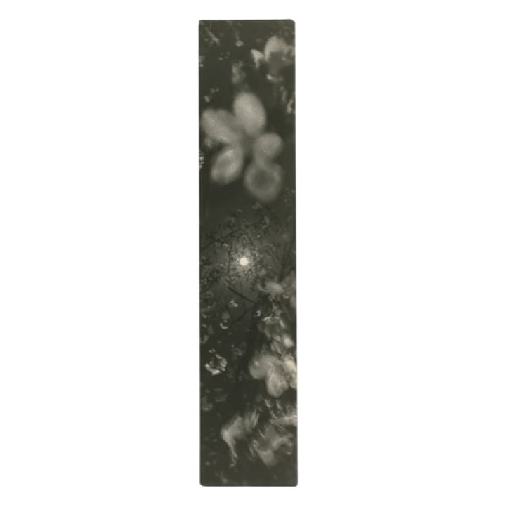 Miho Kajioka, #0151, 2024