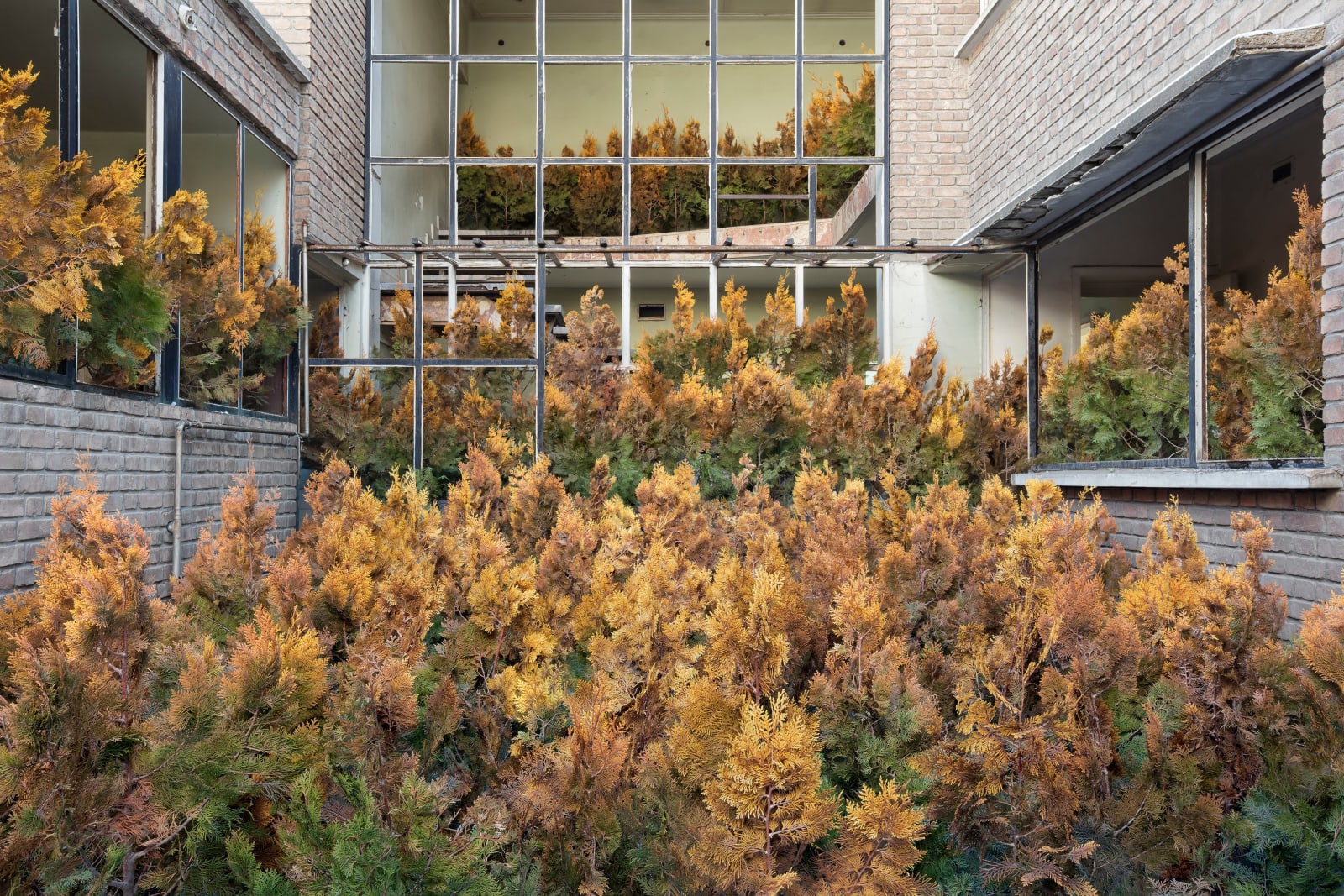 Gohar Dashti, Home #8, 2017