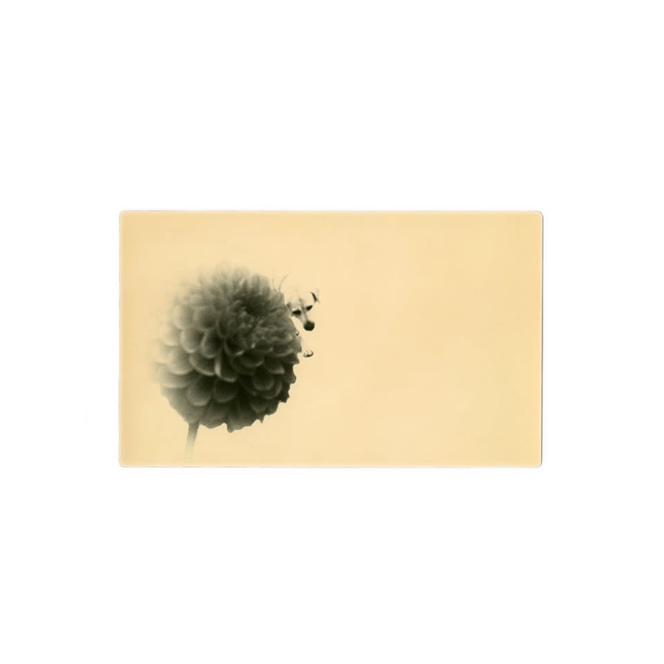 Miho Kajioka, BK0360, 2018