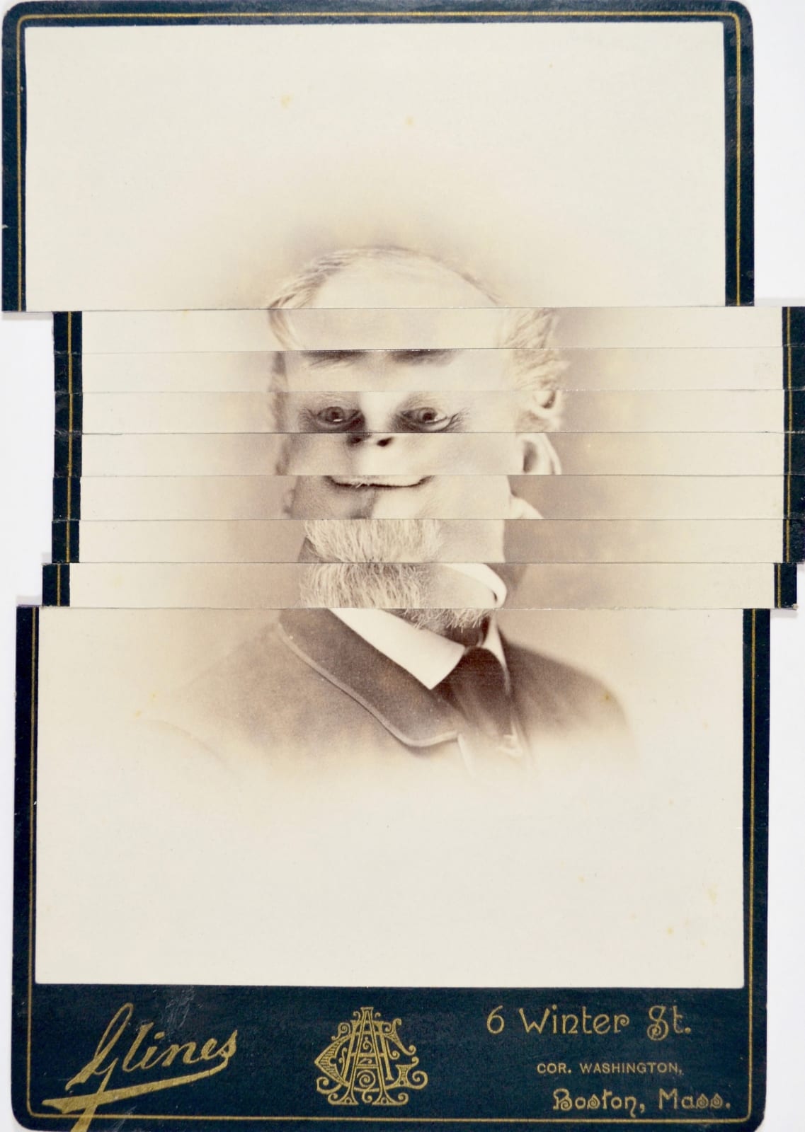 Tom Butler, Gnlies, 2016