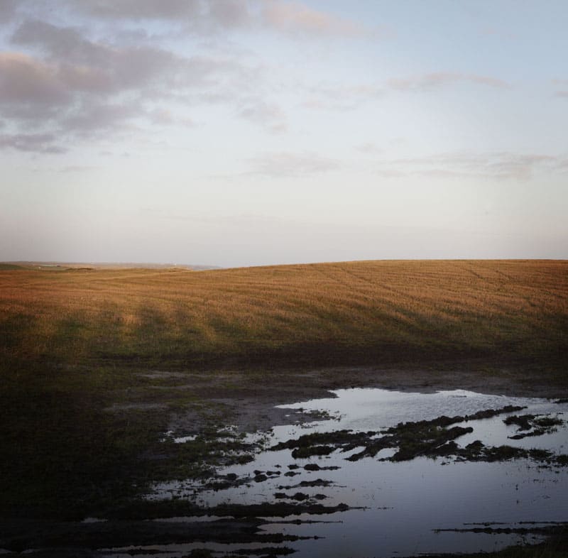 Sophie Gerrard, Menie Field, 2012