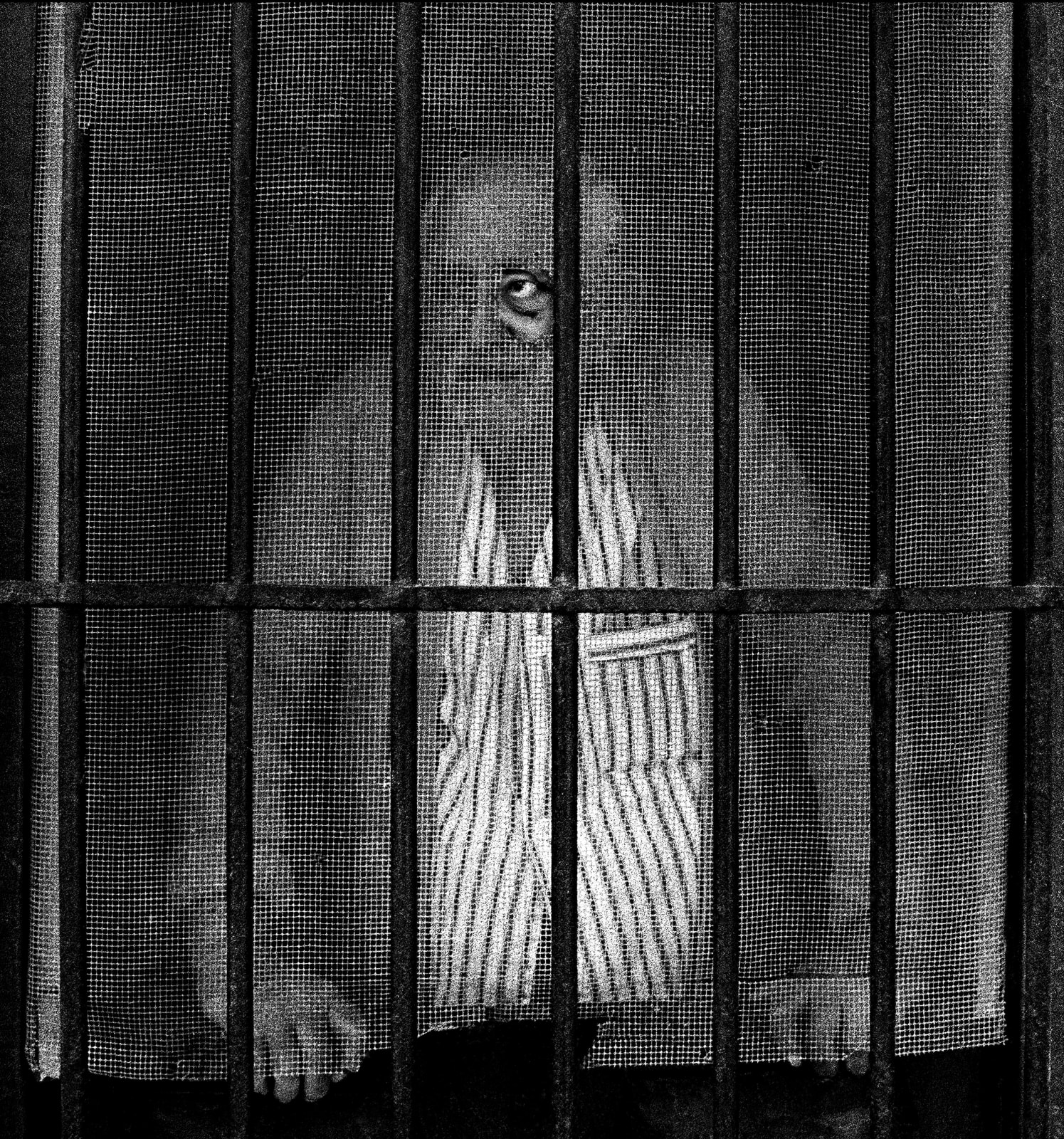 Raúl Cañibano, Habana, 2006