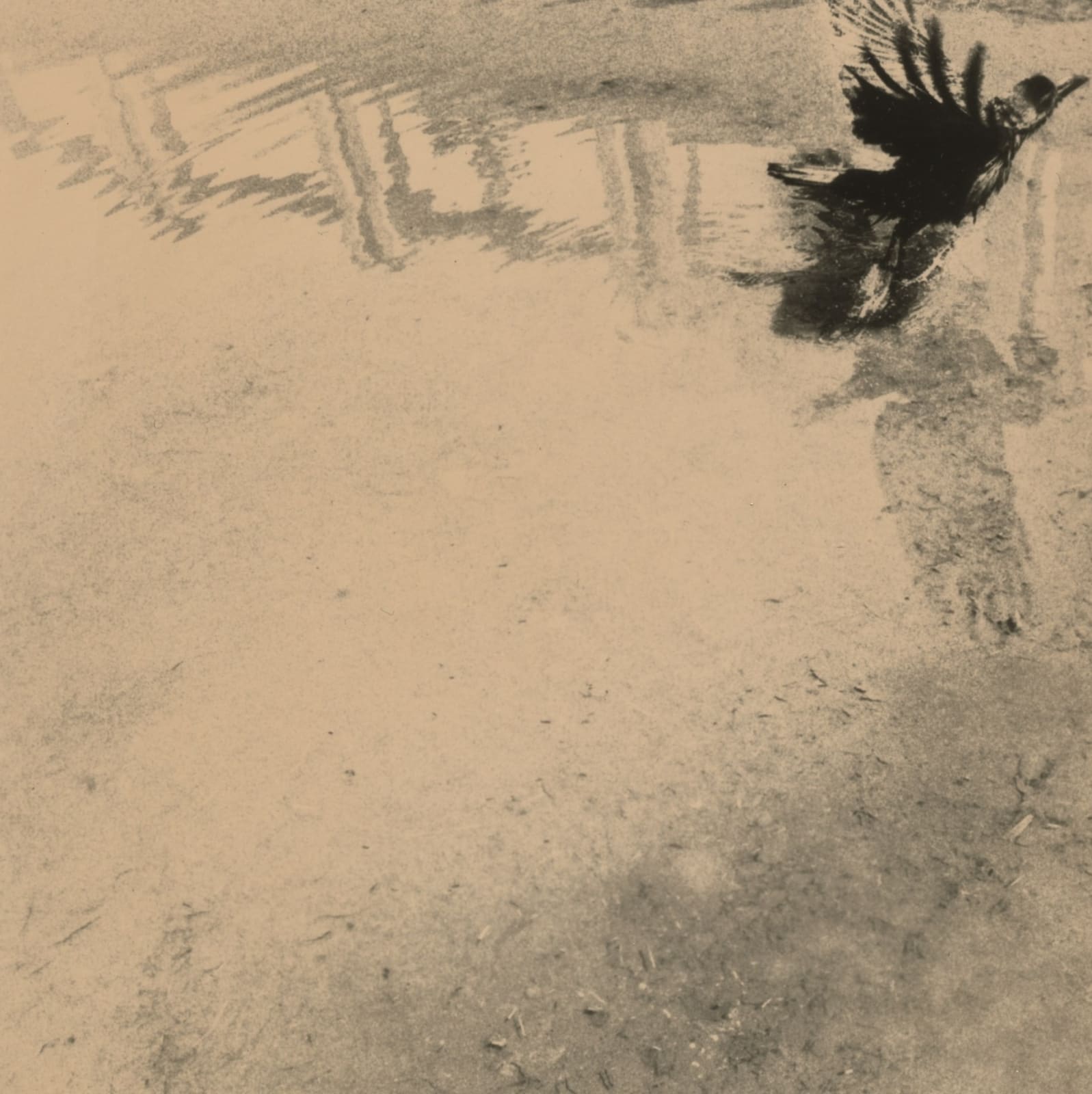 Miho Kajioka, BK0620, 2014