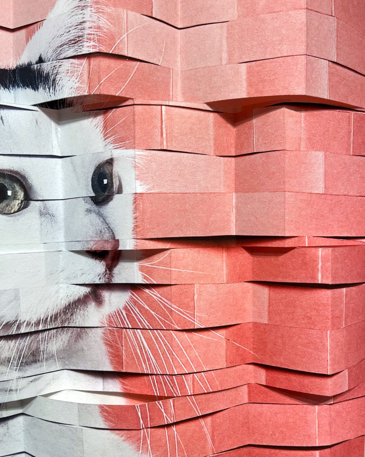 Alma Haser, To have a tomcat (Einen Kater haben), 2023