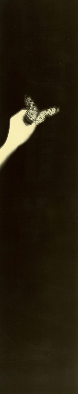 Miho Kajioka, BK0507, 2019