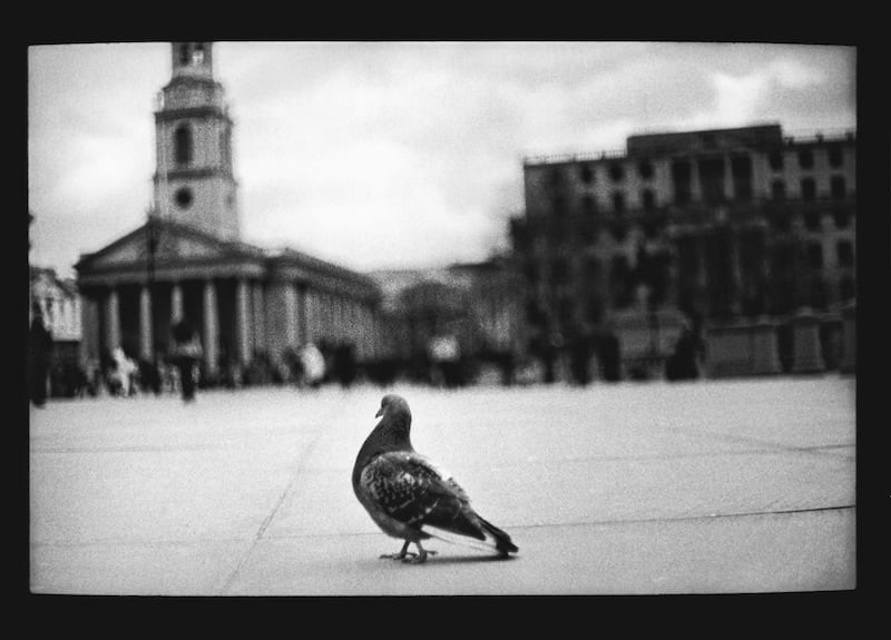 Giacomo Brunelli, Untitled 27, 2012-2014