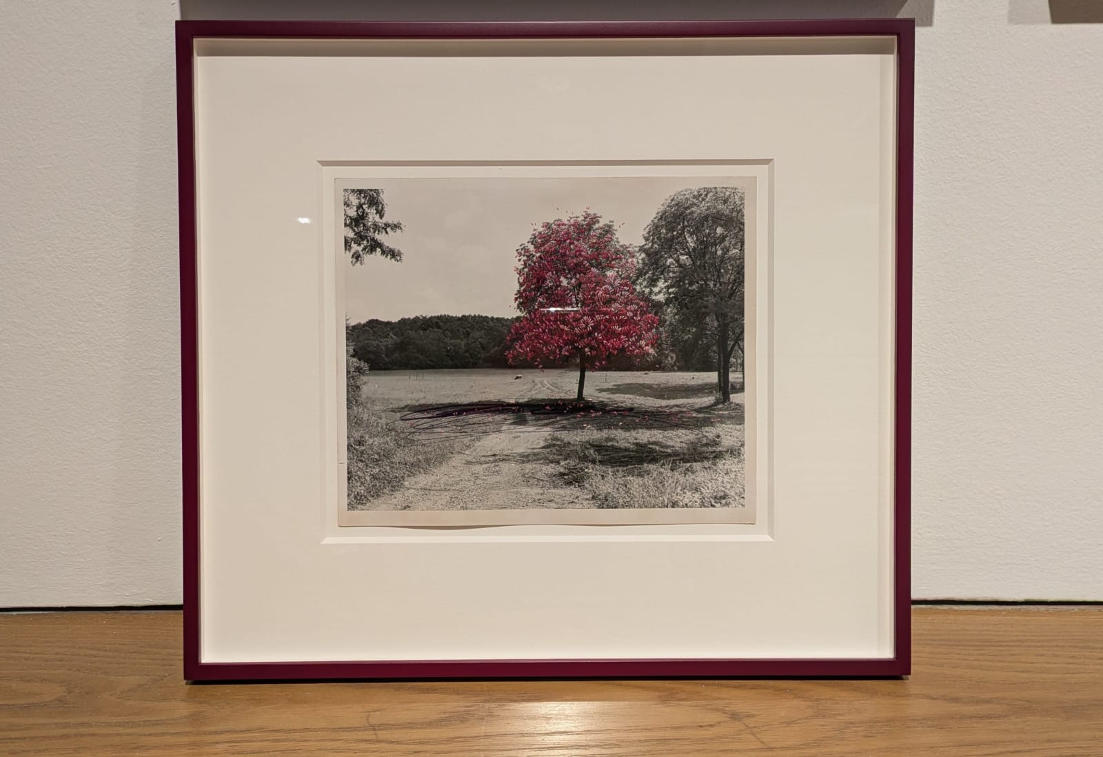 Julie Cockburn, Fleeting Blossom, 2024