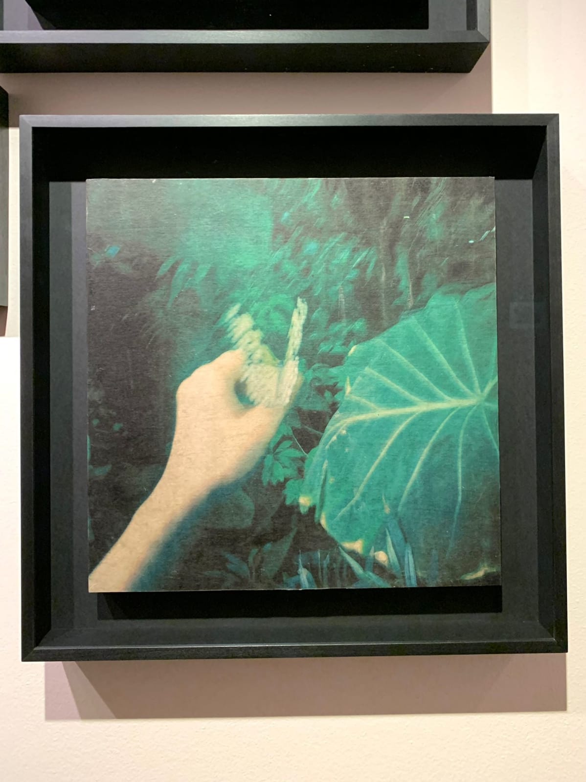 Miho Kajioka, CL0002, 2014