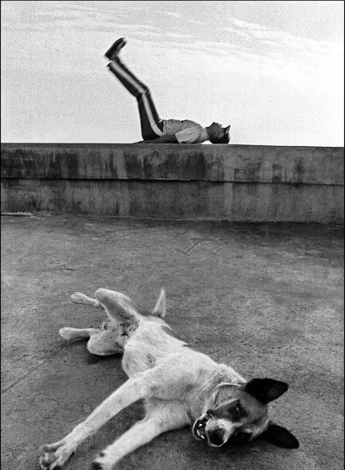 Raúl Cañibano, Malecón, Habana, 2003