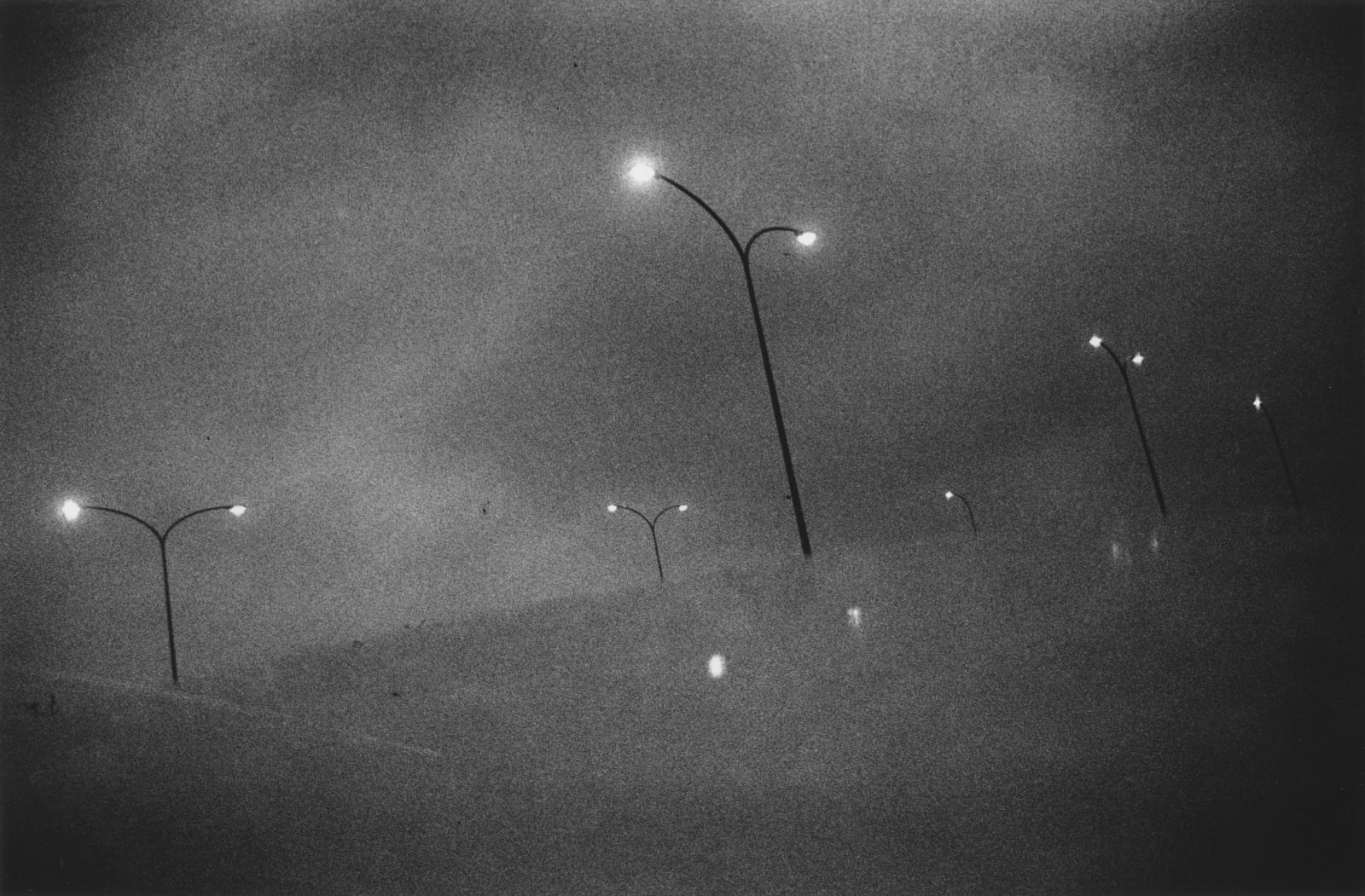 Daido Moriyama, Ebina, Kanagawa, 1969, from 'A Hunter'