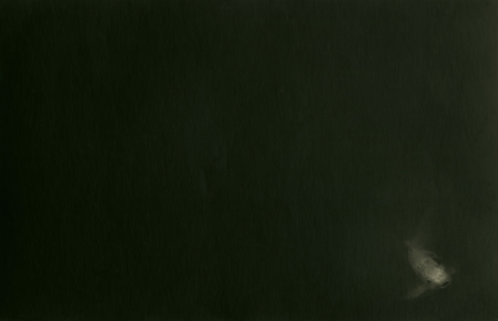 Miho Kajioka, BK0044, 1997