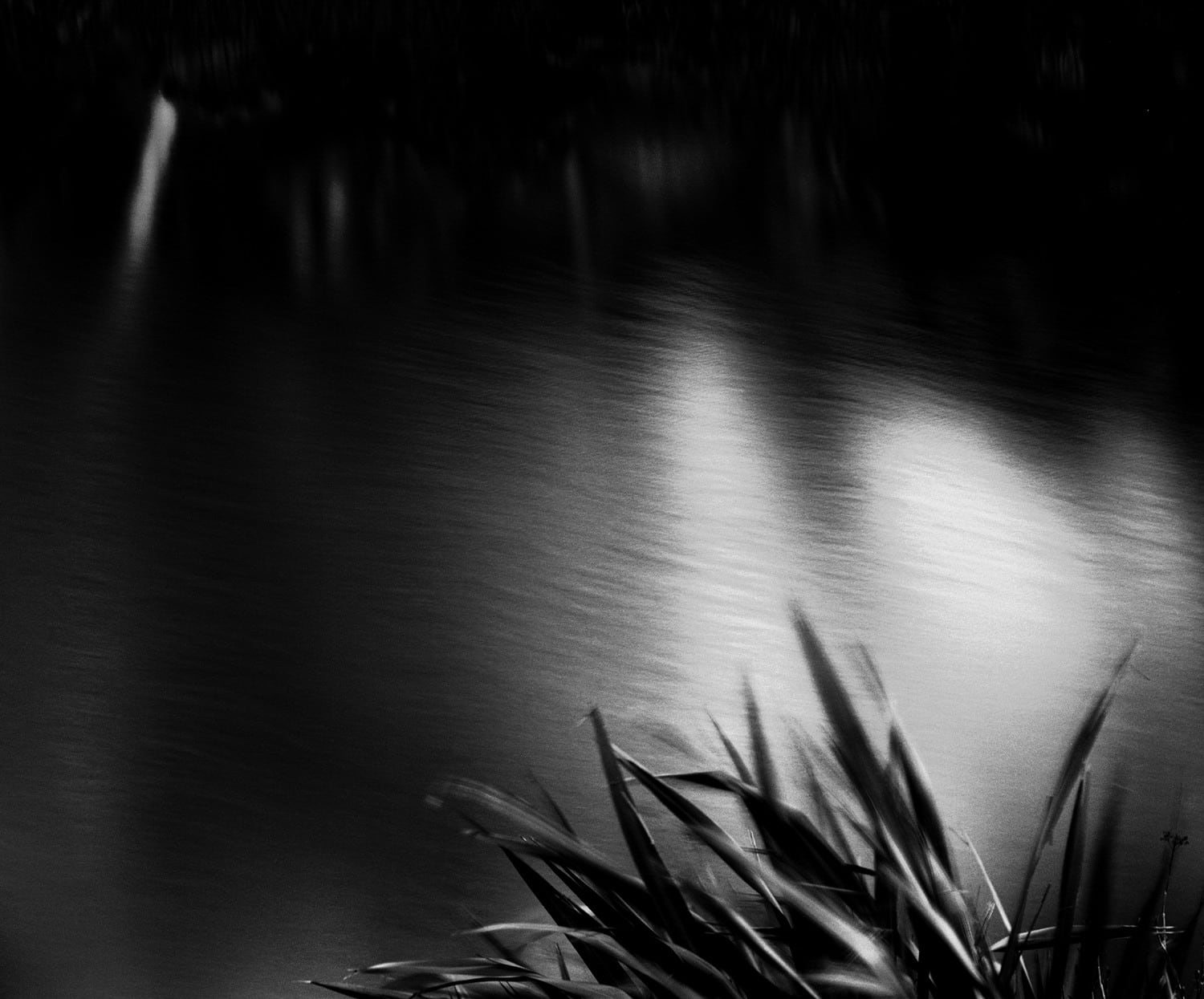 Nicholas Hughes, Verse I, #10, 2017