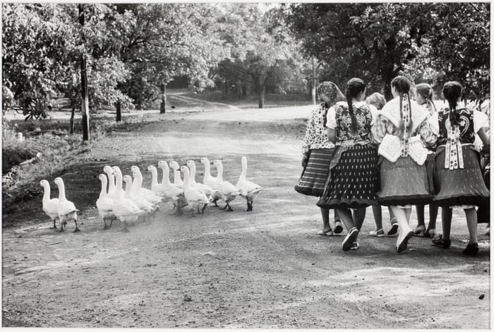 Elliott Erwitt, Hungary, 1964