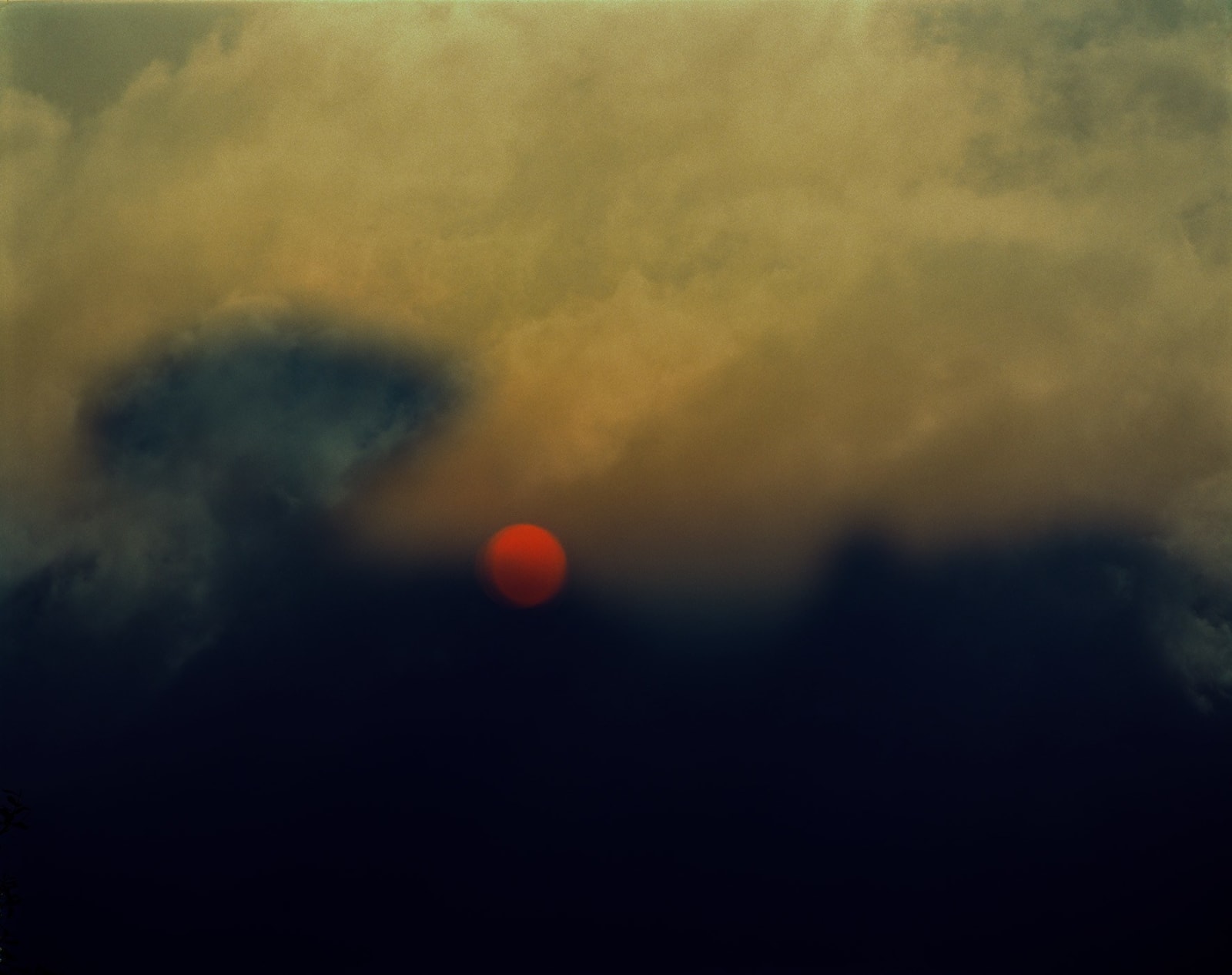 Nicholas Hughes, Untitled 1, 2009