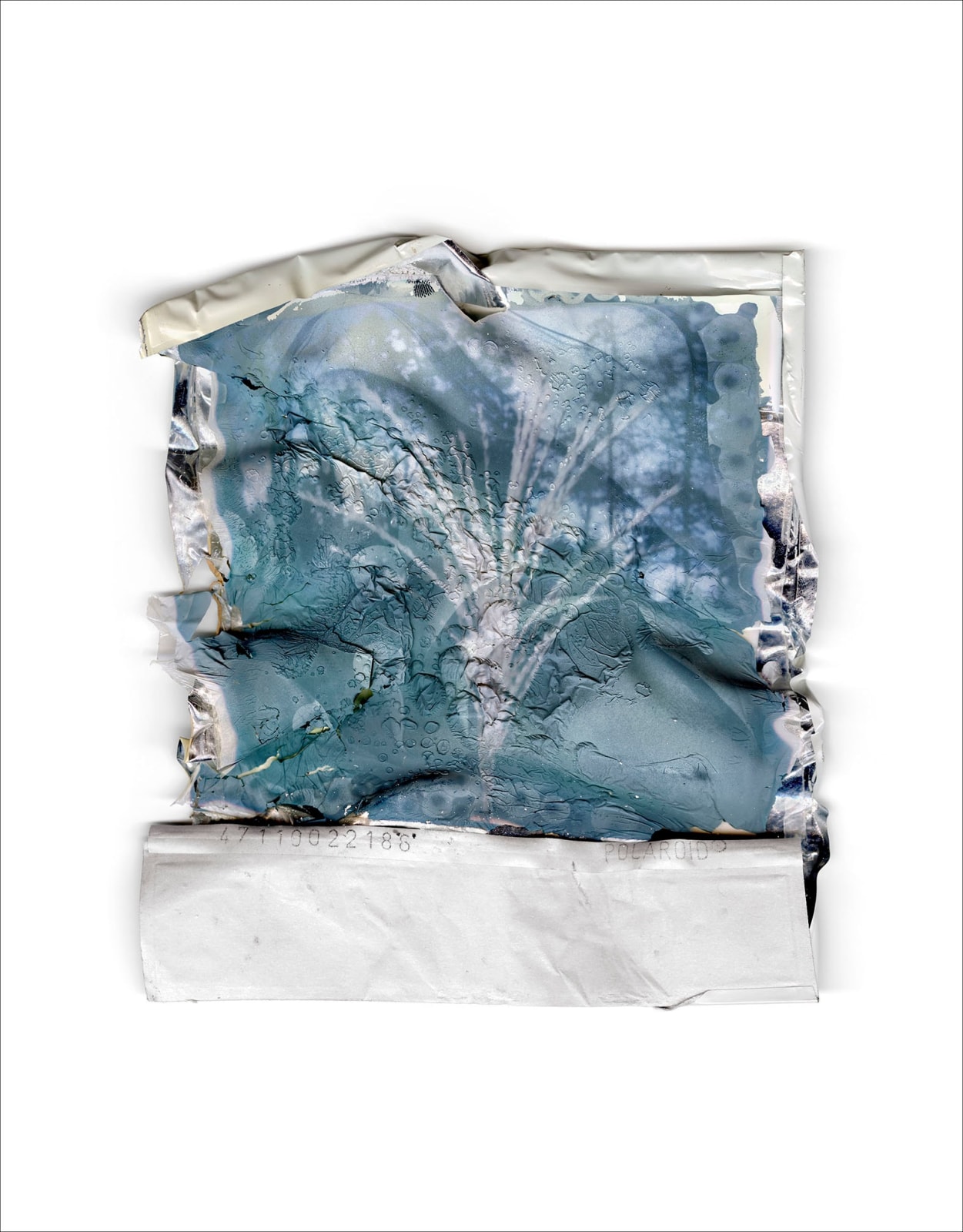 Gohar Dashti, Disappearing Nature #11, 2022