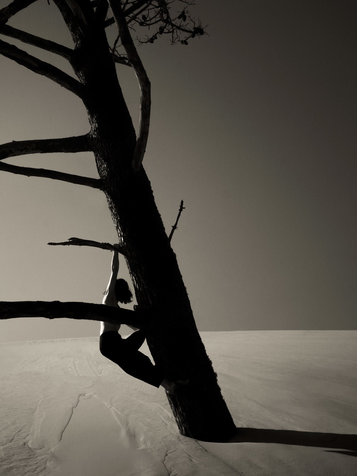 Paul Cupido, Dune du Pilat II, 2022