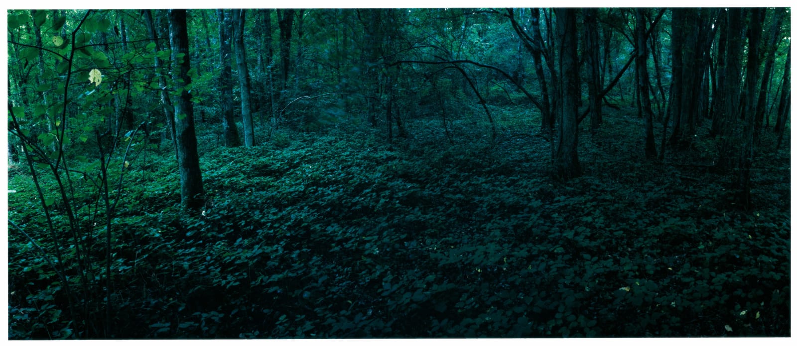 Chrystel Lebas, Abyss 1, 2003