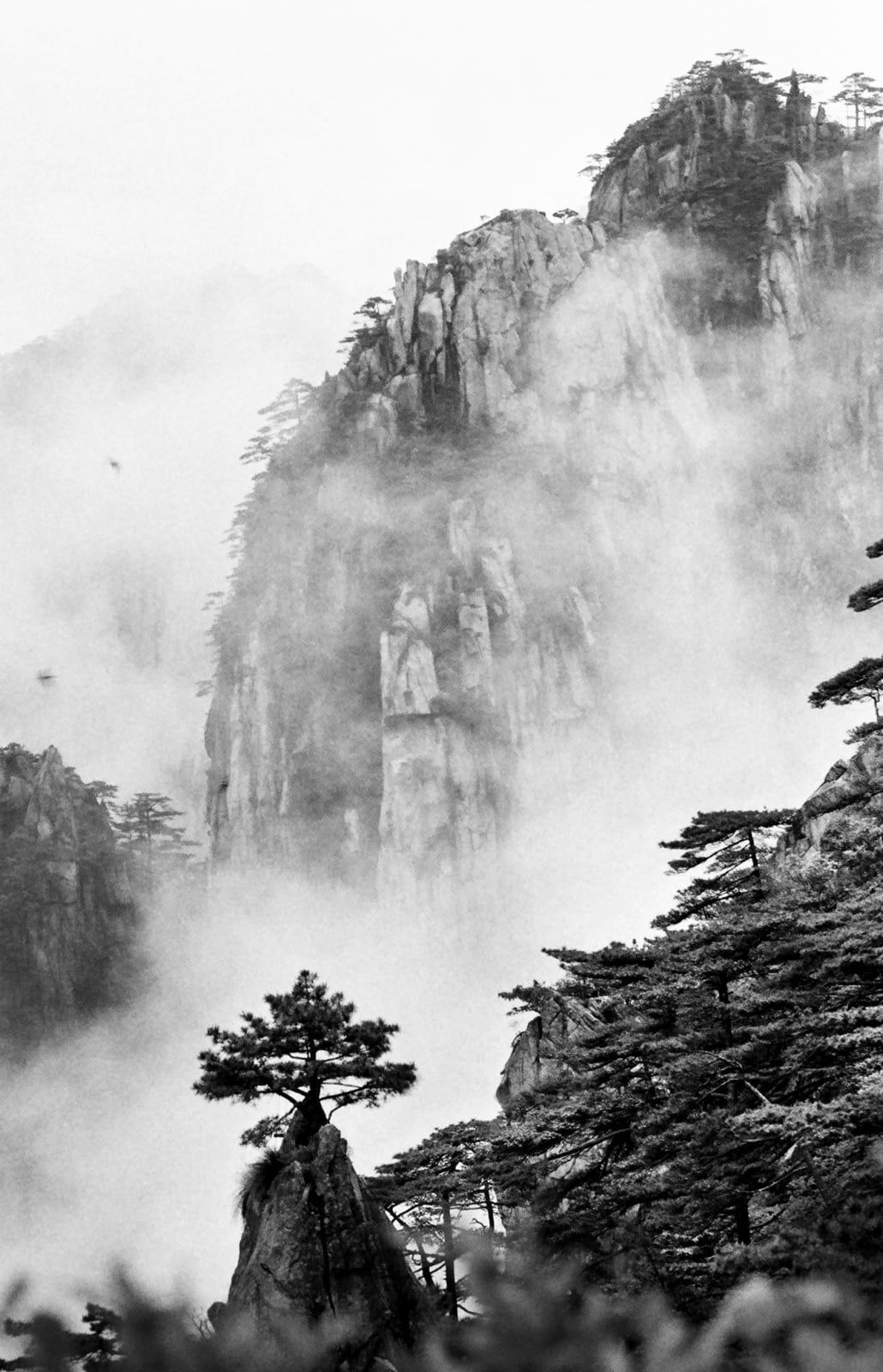 Qiu Yangzi, Celestial Dream, 2015