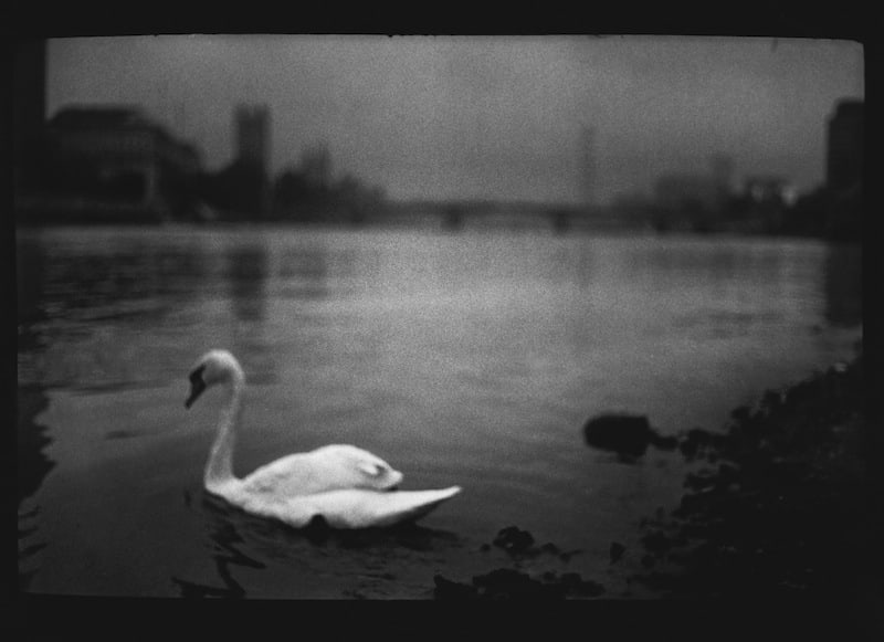 Giacomo Brunelli, Untitled 01, 2012-2014
