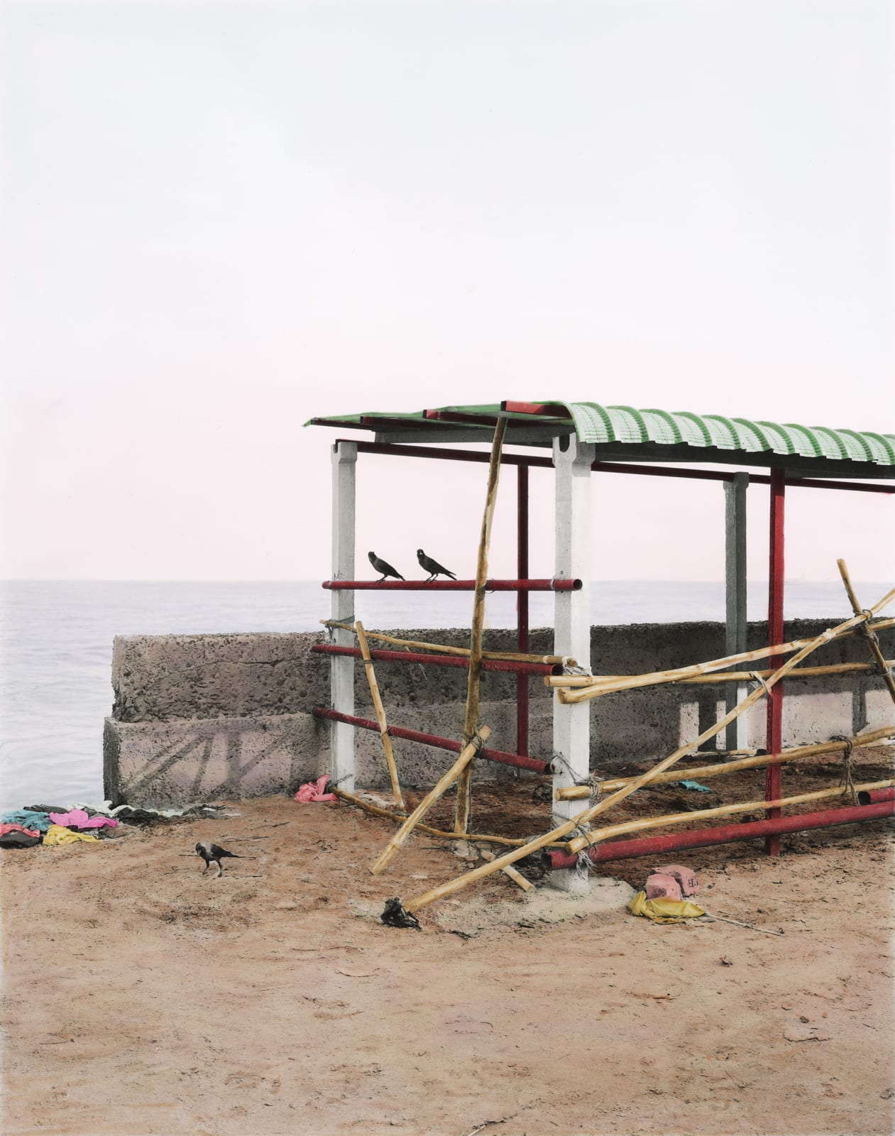 Vasantha Yogananthan, The Ravens, 2018