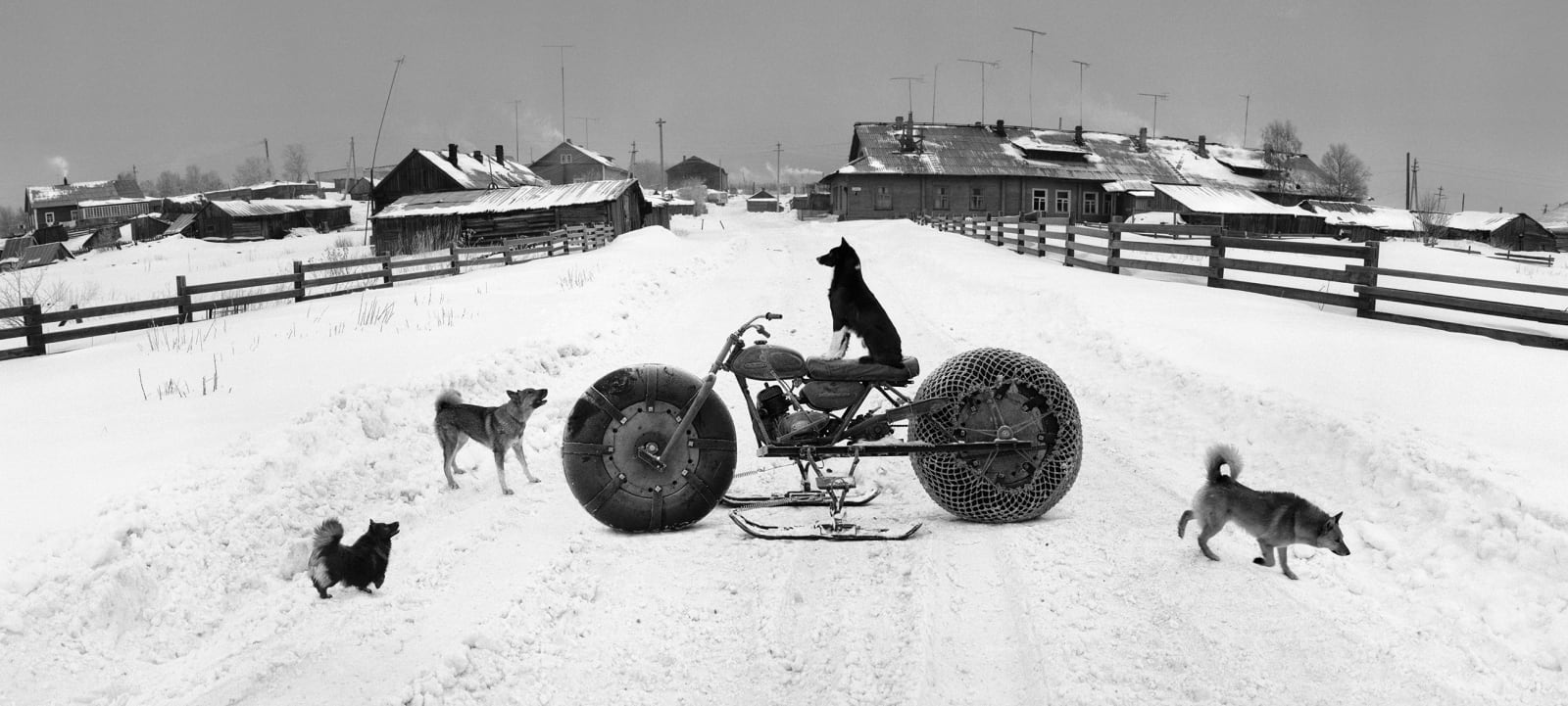 Pentti Sammallahti, Solovki, White Sea, Russia, 1992