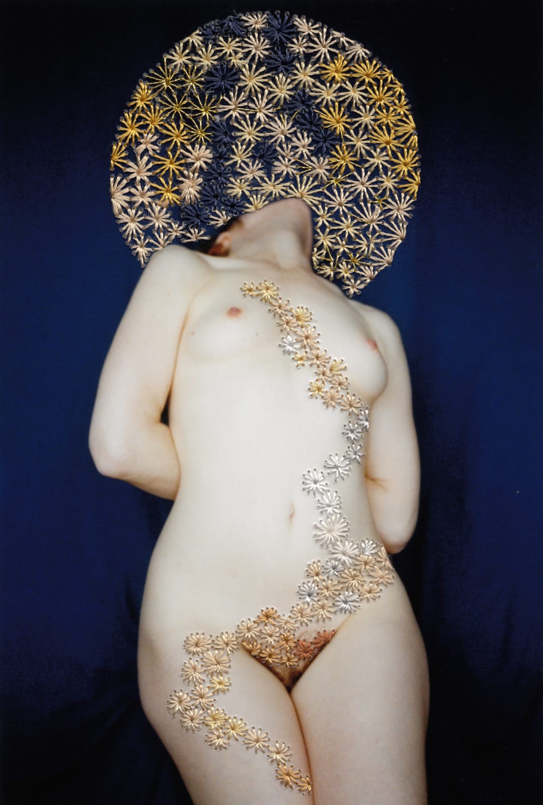 Jessa Fairbrother, Coordinate VI, 2019