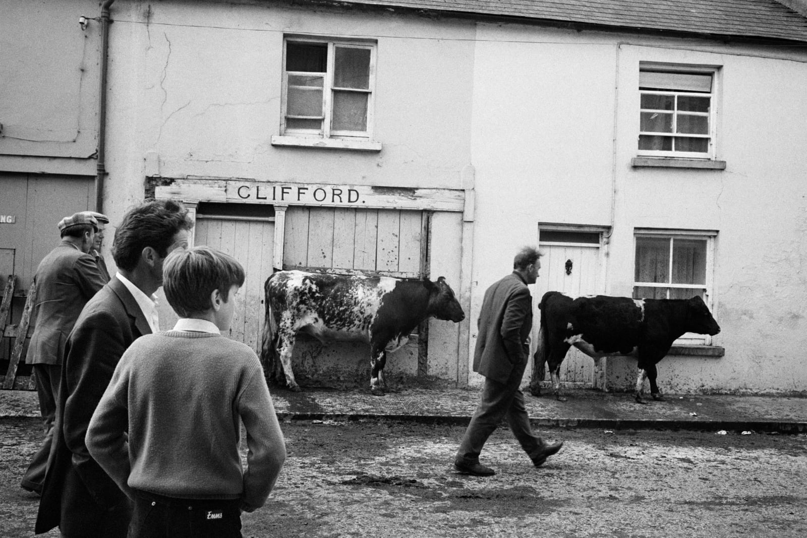 Martin Parr, County Kerry, Killorglin, Puck Fair, 1983