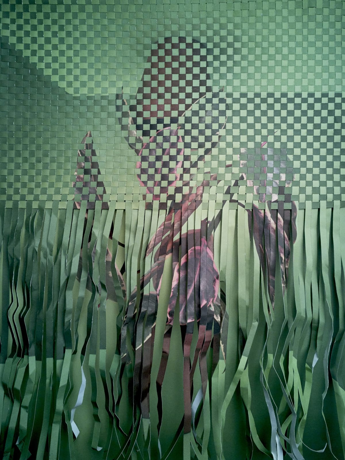 Alma Haser, Plant Pixel, 2017