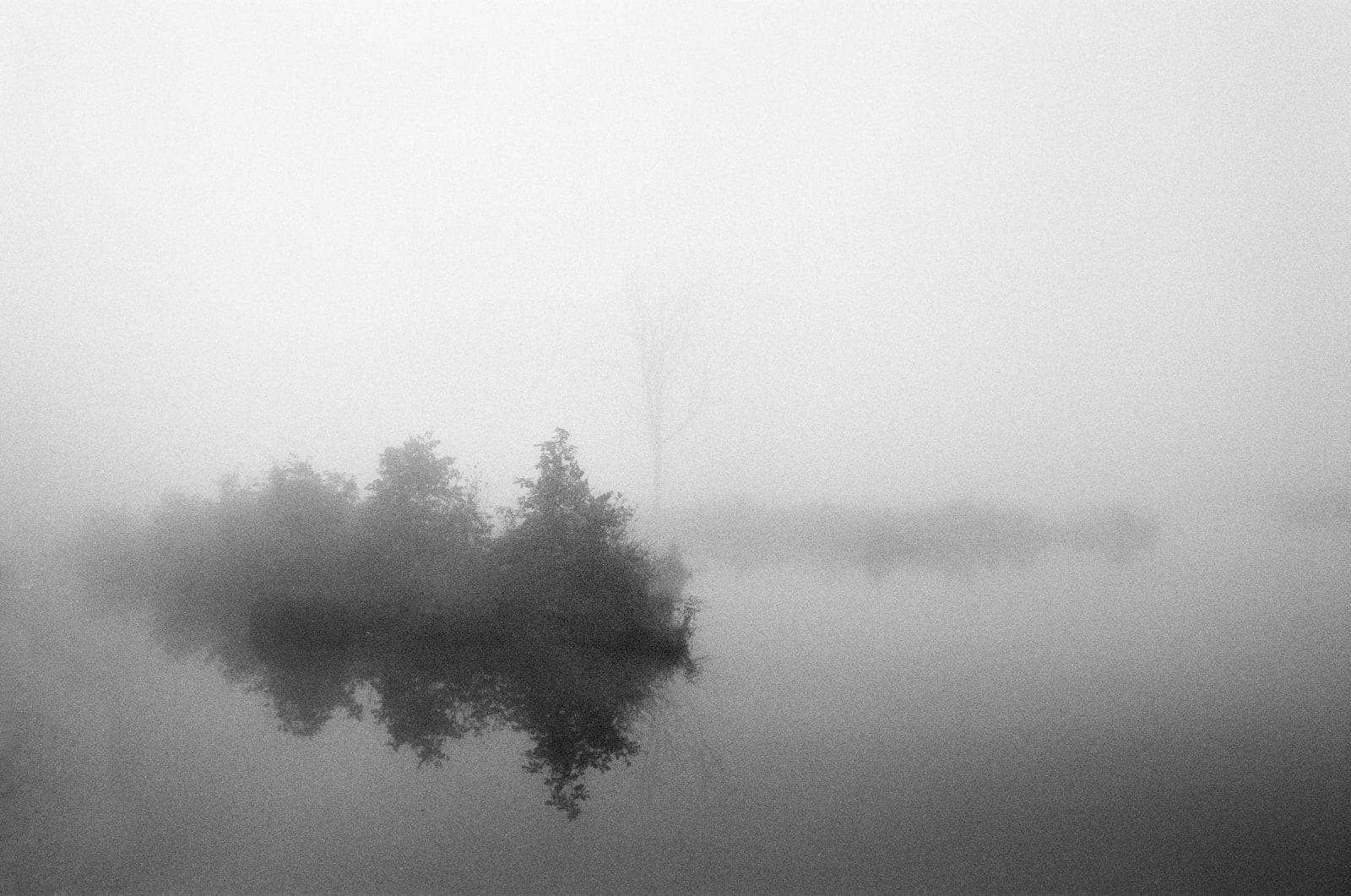 Qiu Yangzi, Paradise I, 2015