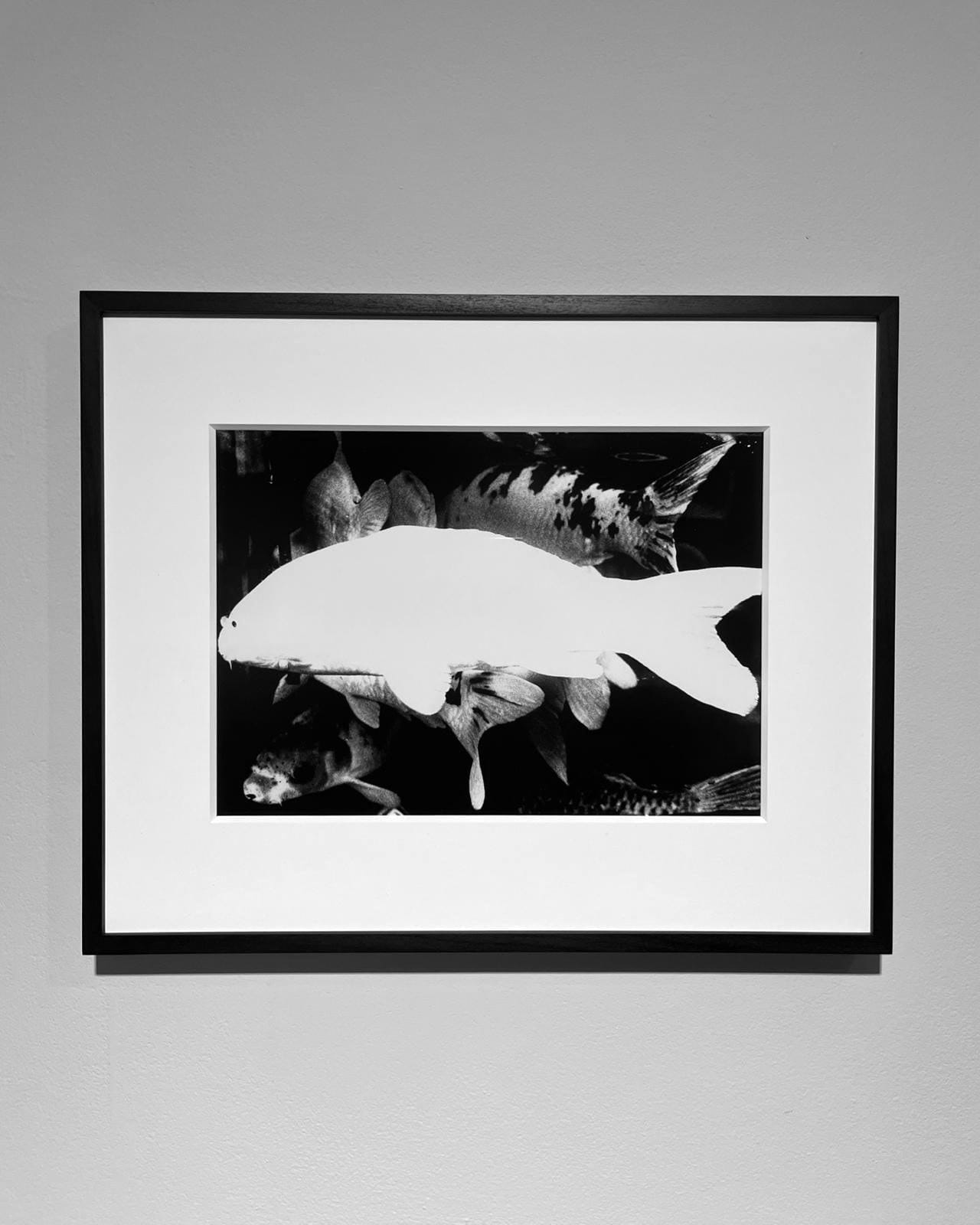 Daido Moriyama, Camera Mainichi, Hiroshima, 1974